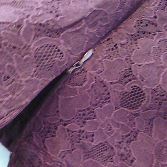 COPY - Banana Republic burgundy lace skirt. - Picture 5 of 5